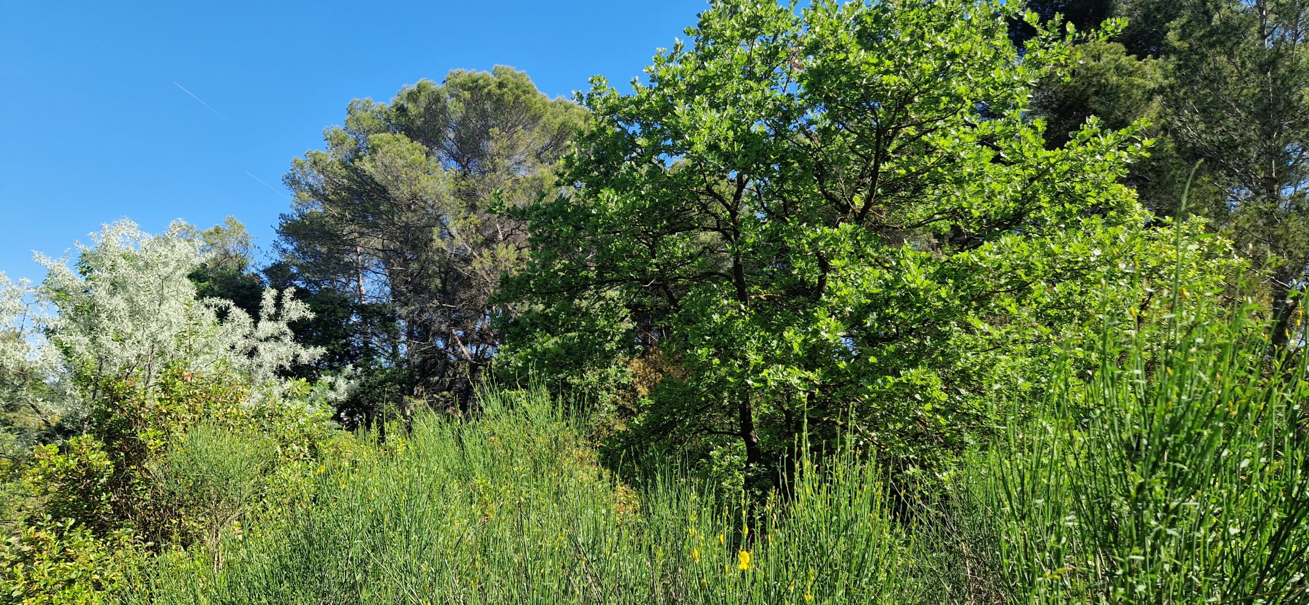 Le terrain des Espradeaux, un patrimoine à préserver